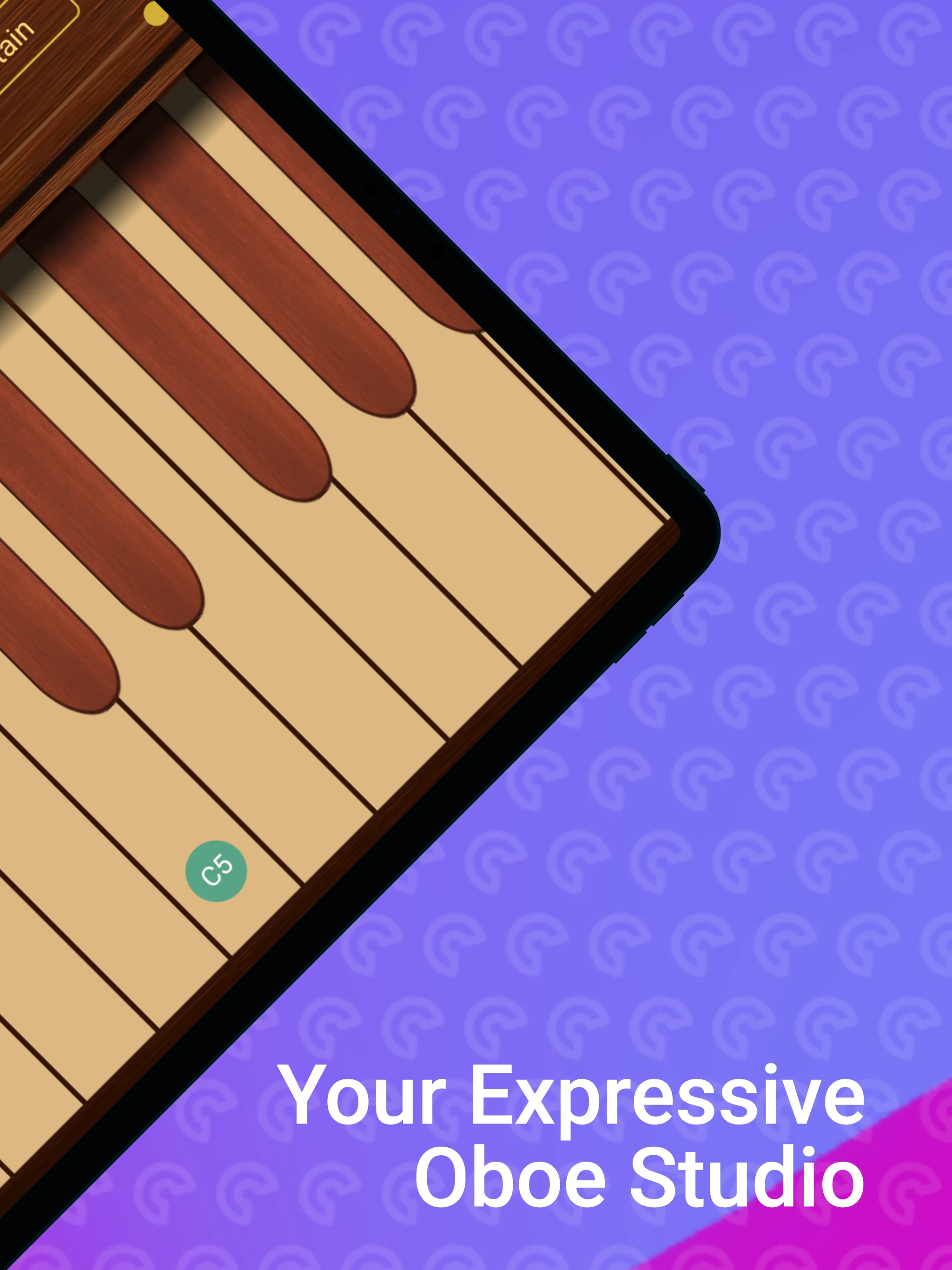 Professional Oboe screenshot