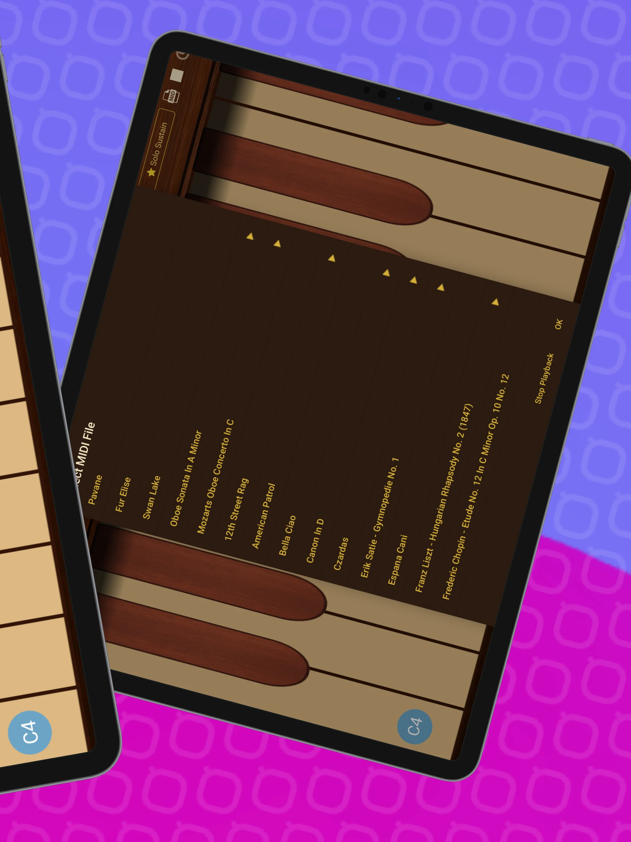 Professional Oboe screenshot