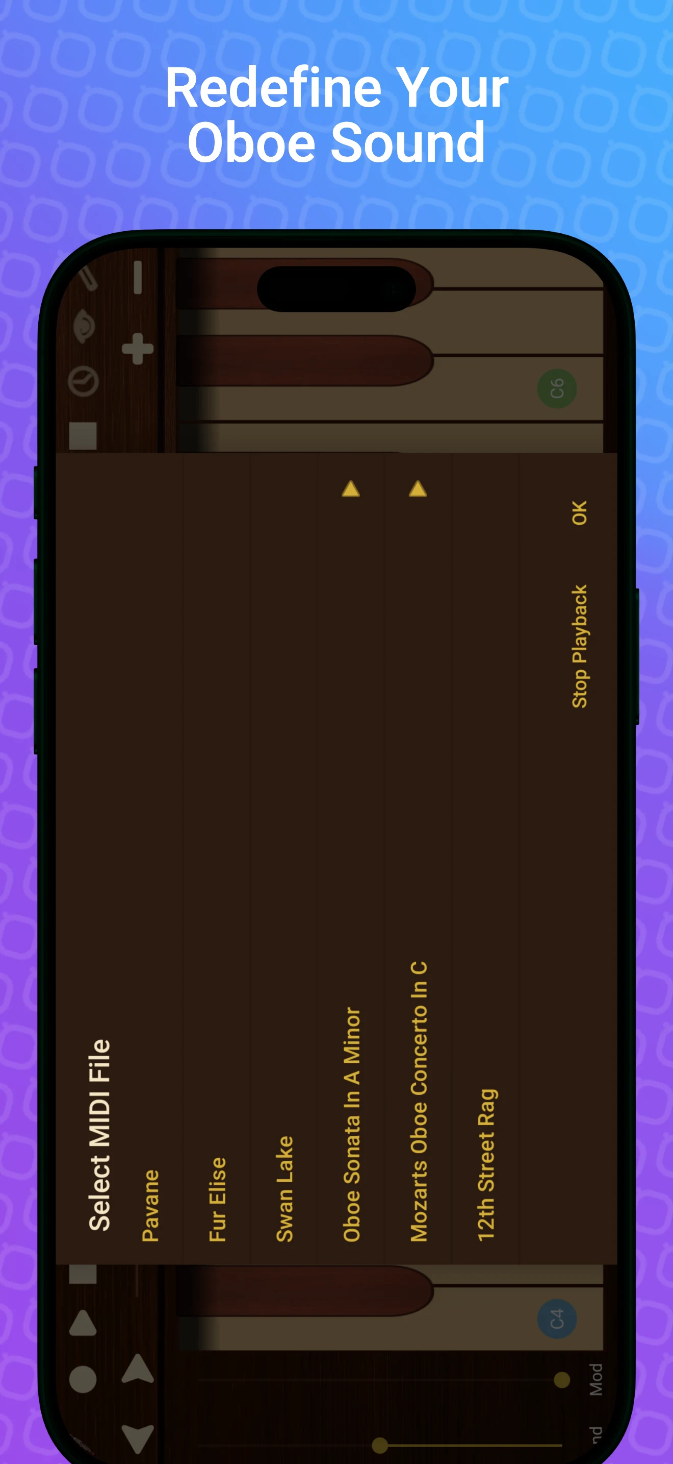 Professional Oboe screenshot