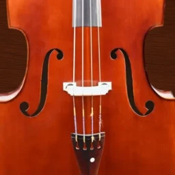 Ícone de Professional Double Bass
